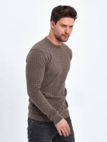 Джемпер Trend Collection модель TC10391BrownSVTRMN Фото