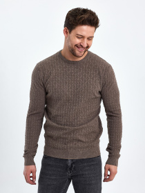 Джемпер Trend Collection модель TC10391BrownSVTRMN Фото