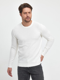 Джемпер Trend Collection модель TC9915WhiteSVTRMN Фото