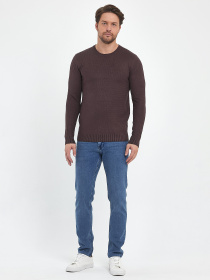 Джемпер Trend Collection модель TC9912BrownSVTRMN Джемпер Trend Collection модель TC9912BrownSVTRMN Фото