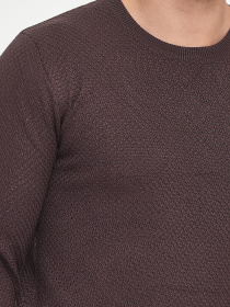 Джемпер Trend Collection модель TC9912BrownSVTRMN Джемпер Trend Collection модель TC9912BrownSVTRMN Фото