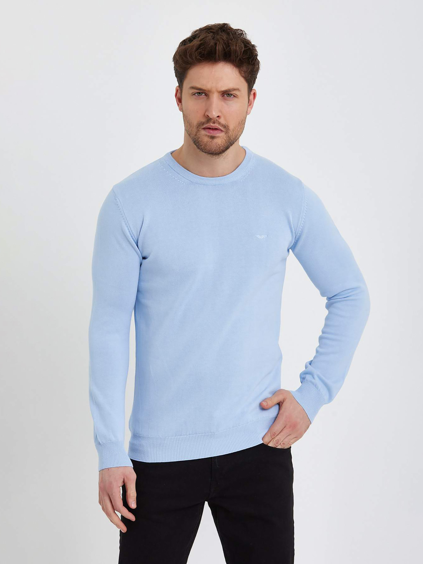 Джемпер Trend Collection модель TC9779LightBlueSVTRMN Фото