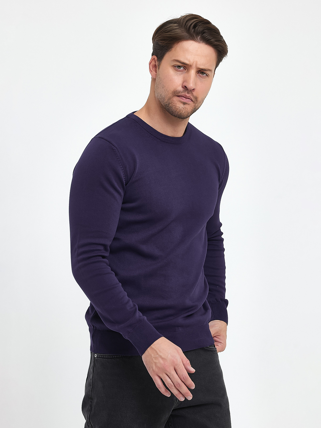 Джемпер Trend Collection модель TC9670VioletSVTRMN Фото