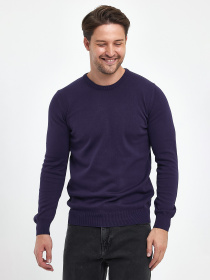 Джемпер Trend Collection модель TC9670VioletSVTRMN Фото