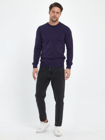 Джемпер Trend Collection модель TC9670VioletSVTRMN Фото