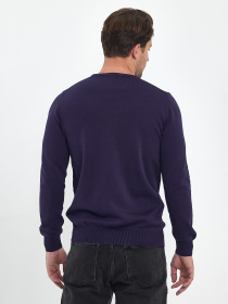 Джемпер Trend Collection модель TC9670VioletSVTRMN Фото