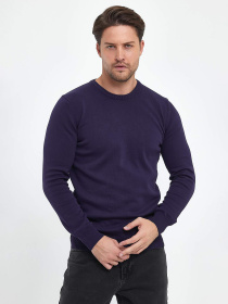 Джемпер Trend Collection модель TC9670VioletSVTRMN Фото