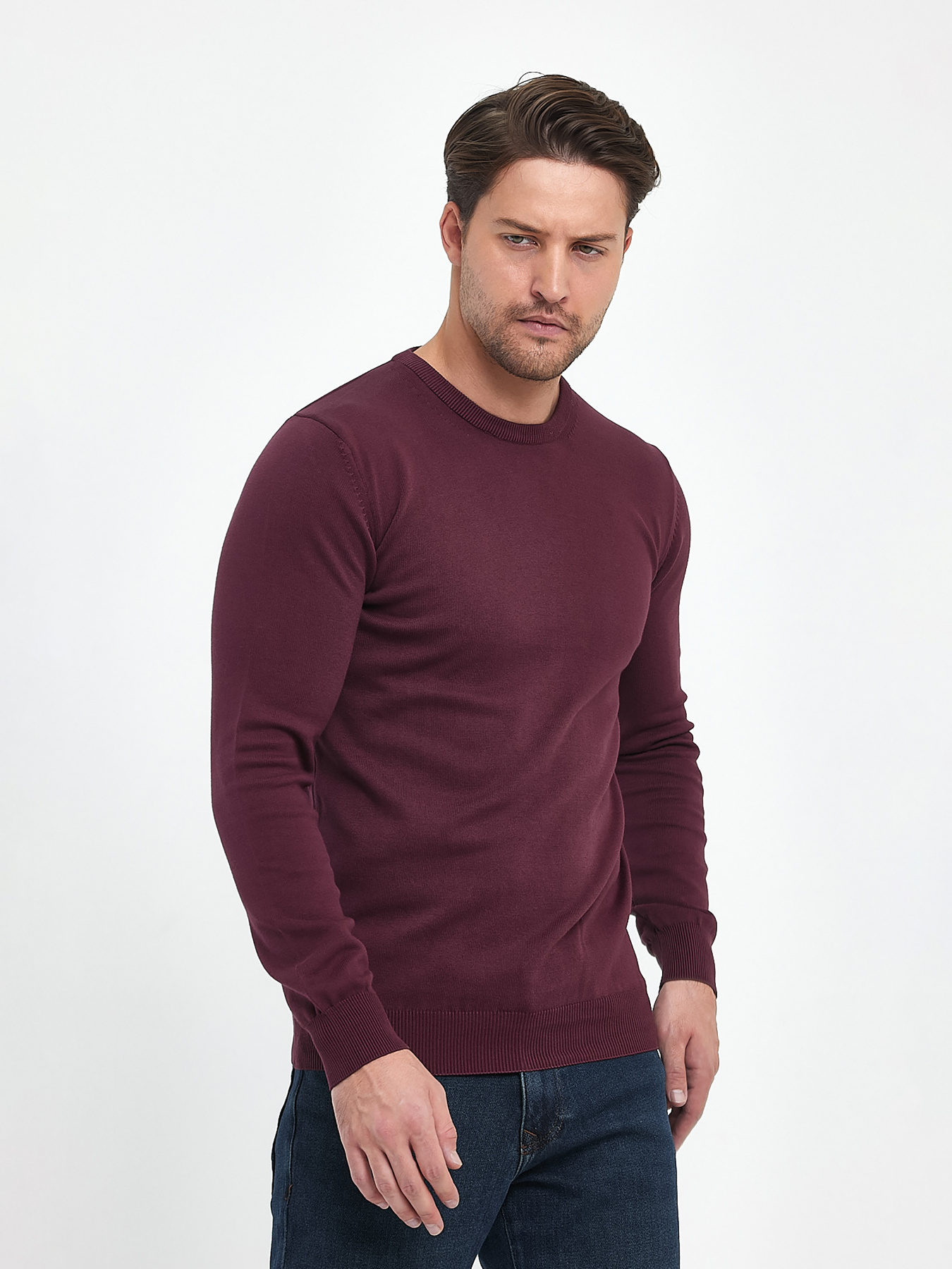 Джемпер Trend Collection модель TC9669PlumSVTRMN Фото