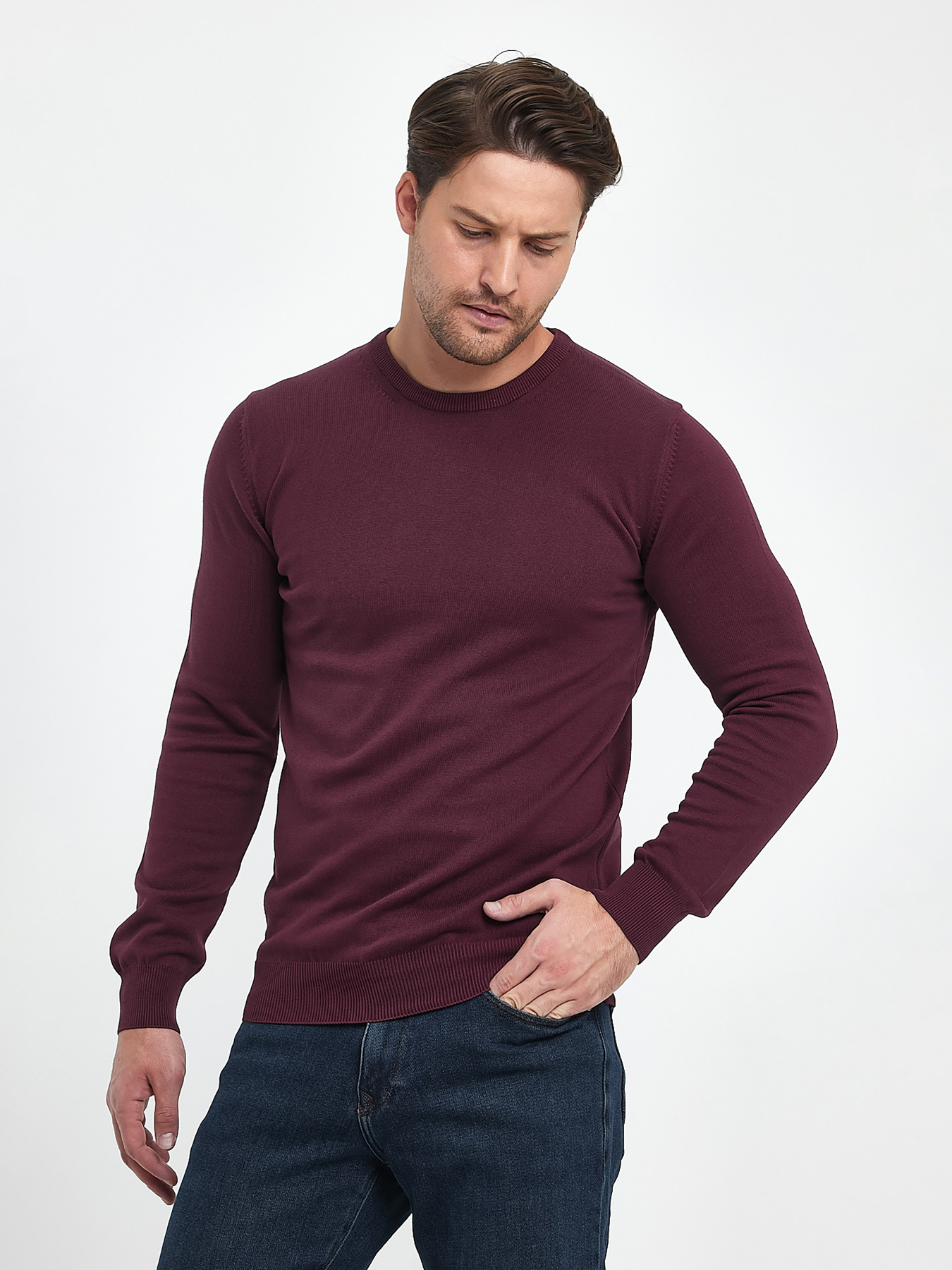 Джемпер Trend Collection модель TC9669PlumSVTRMN Фото