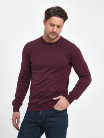 Джемпер Trend Collection модель TC9669PlumSVTRMN Фото