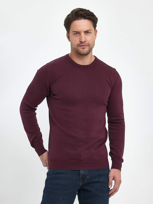 Джемпер Trend Collection модель TC9669PlumSVTRMN Фото