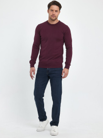 Джемпер Trend Collection модель TC9669PlumSVTRMN Фото