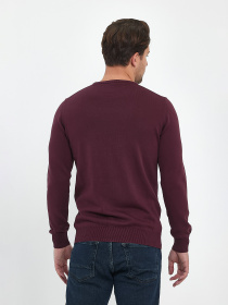 Джемпер Trend Collection модель TC9669PlumSVTRMN Фото