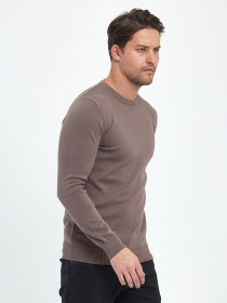 Джемпер Trend Collection модель TC9644BrownSVTRMN Фото