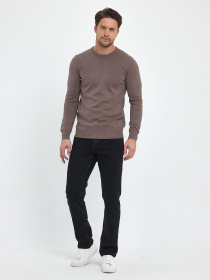 Джемпер Trend Collection модель TC9644BrownSVTRMN Фото