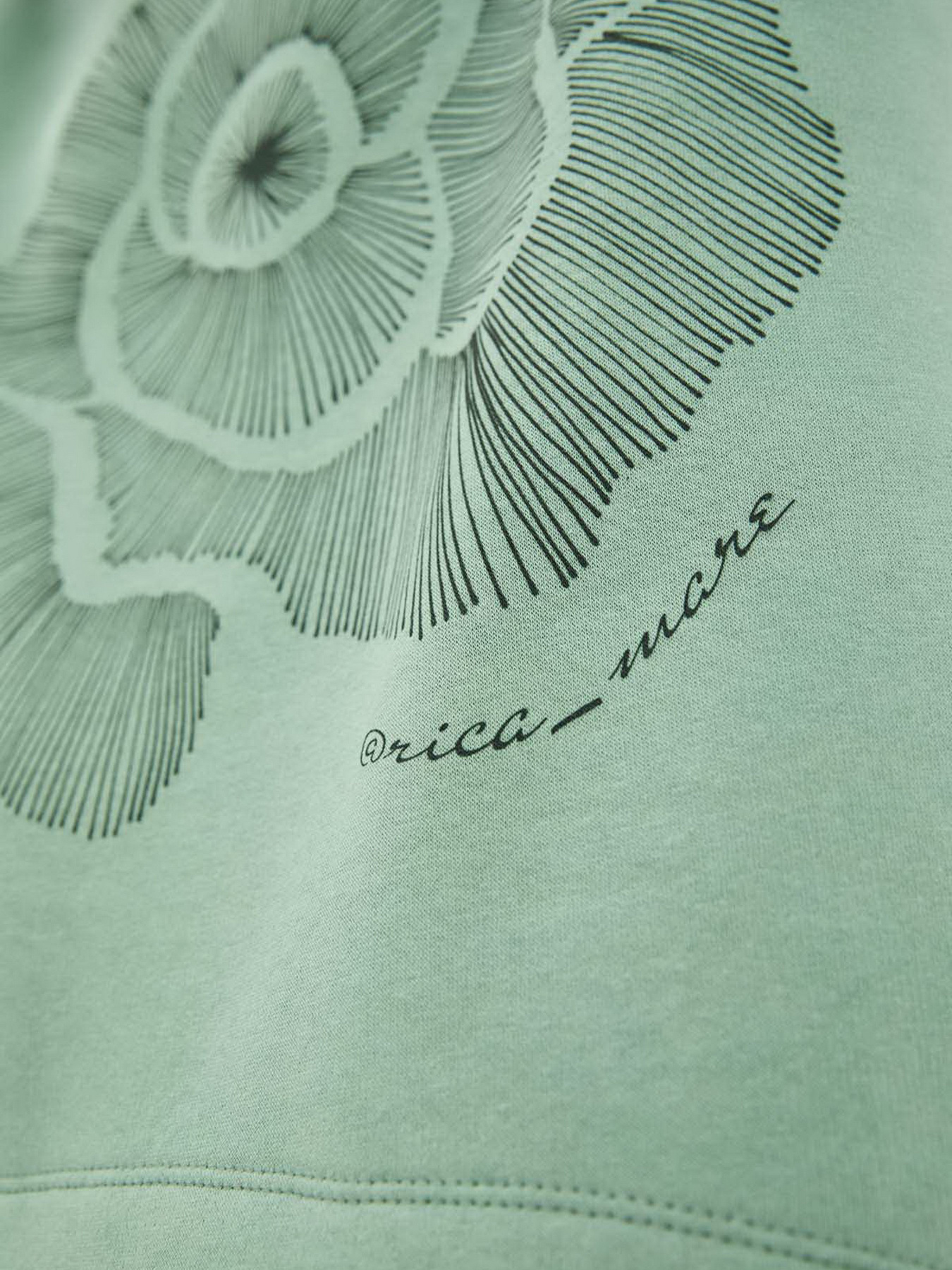 Свитшот RicaMare модель RMD2273-20-3DC Фото