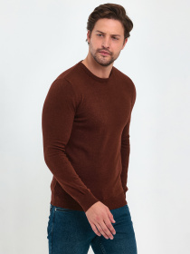 Джемпер Trend Collection модель TC9612DarkBrownSVTRMN Фото