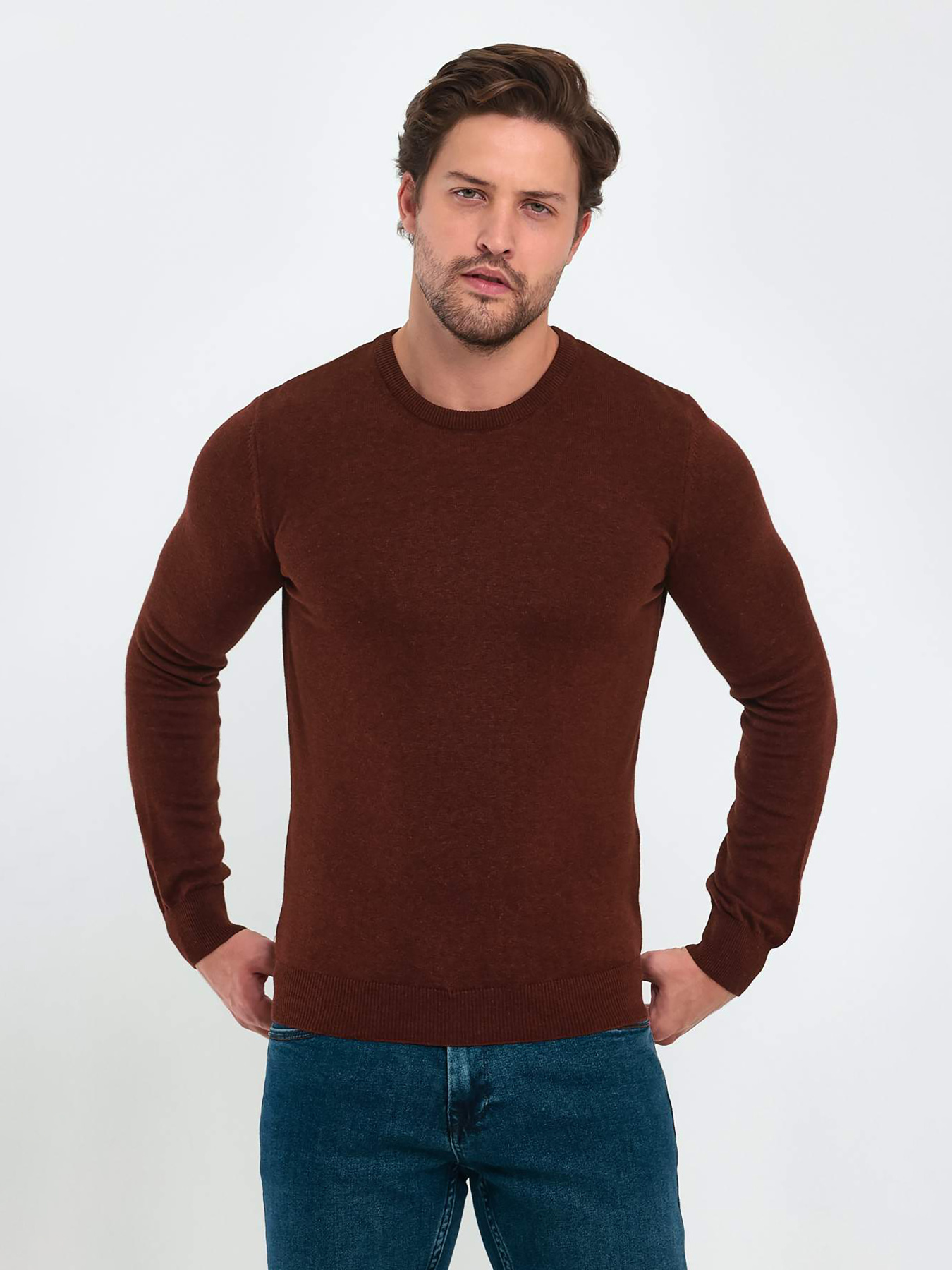 Джемпер Trend Collection модель TC9612DarkBrownSVTRMN Джемпер Trend Collection модель TC9612DarkBrownSVTRMN Фото