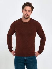 Джемпер Trend Collection модель TC9612DarkBrownSVTRMN Джемпер Trend Collection модель TC9612DarkBrownSVTRMN Фото