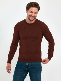 Джемпер Trend Collection модель TC9612DarkBrownSVTRMN Джемпер Trend Collection модель TC9612DarkBrownSVTRMN Фото