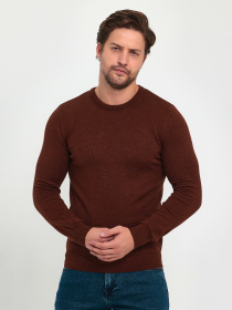 Джемпер Trend Collection модель TC9612DarkBrownSVTRMN Джемпер Trend Collection модель TC9612DarkBrownSVTRMN Фото