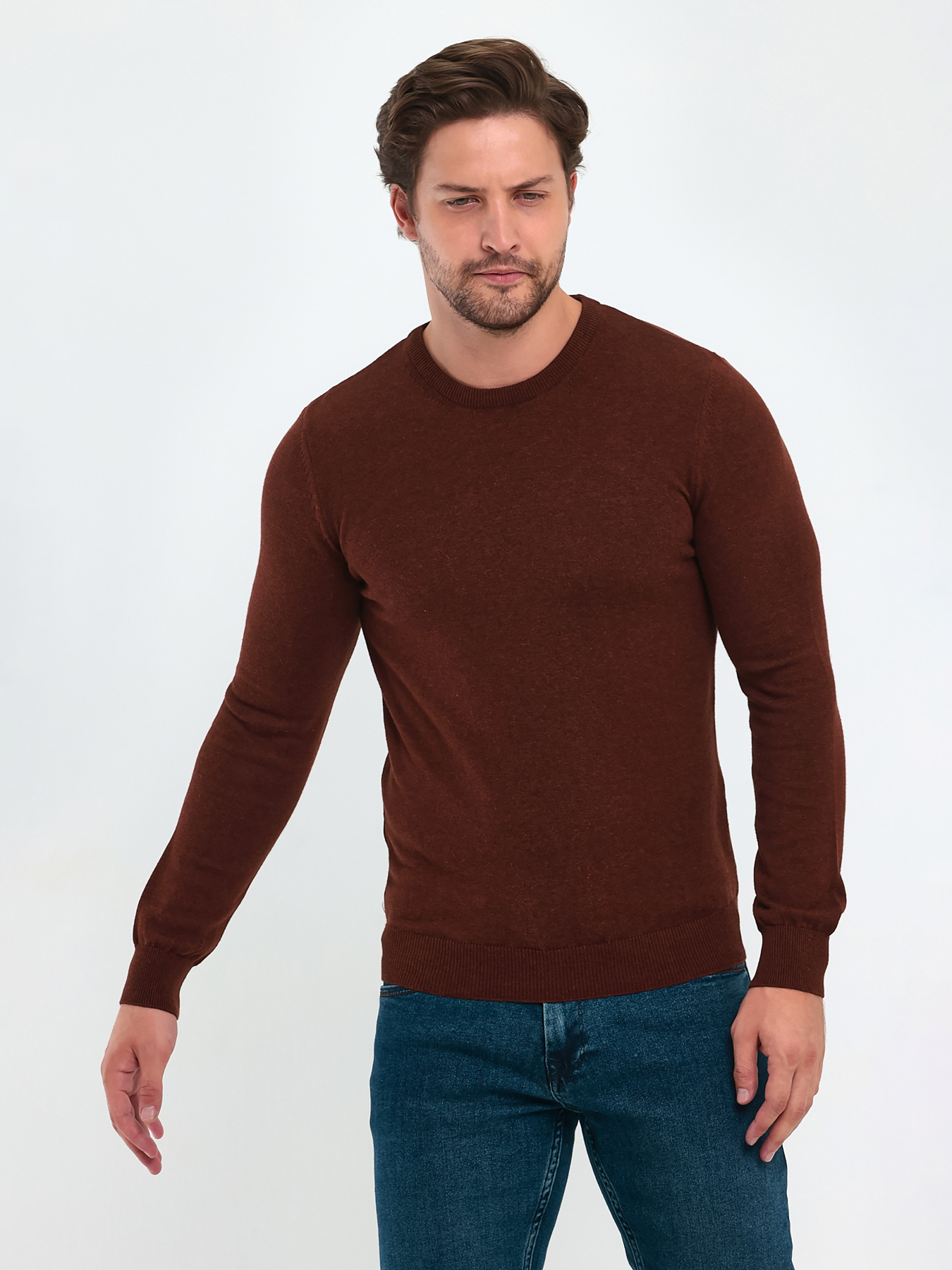 Джемпер Trend Collection модель TC9612BrownSVTRMN Фото