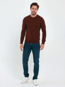 Джемпер Trend Collection модель TC9612BrownSVTRMN Фото