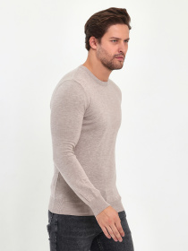 Джемпер Trend Collection модель TC9609BeigeSVTRMN Фото