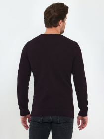 Джемпер Trend Collection модель TC9583BordoSVTRMN Фото