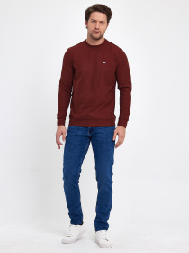 Світшот Trend Collection модель TC9547BrownSVTRMN Фото