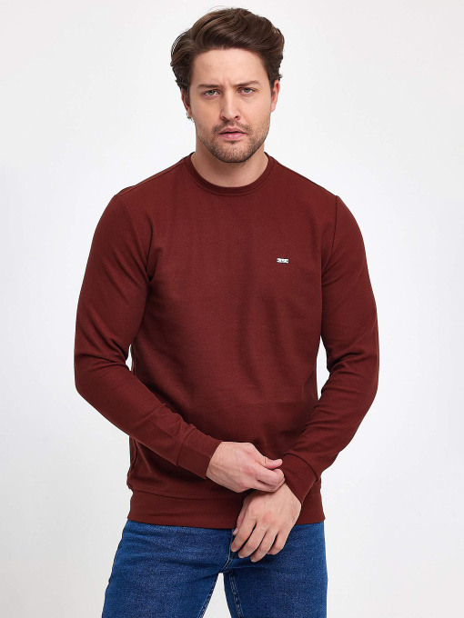 Свитшот Trend Collection модель TC9547BrownSVTRMN Фото