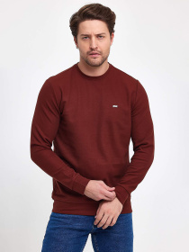 Світшот Trend Collection модель TC9547BrownSVTRMN Фото