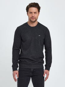 Джемпер Trend Collection модель TC9540GreySVTRMN Фото