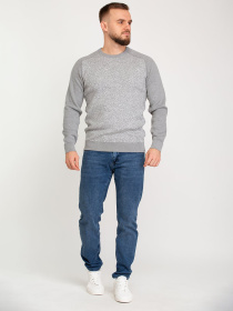 Джемпер Trend Collection модель TC7315GreySVTRMN Фото