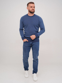 Джемпер Trend Collection модель TC7245BlueSVTRMN Фото