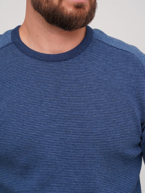 Джемпер Trend Collection модель TC7245BlueSVTRMN Фото