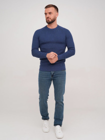 Джемпер Trend Collection модель TC7213BlueSVTRMN Фото