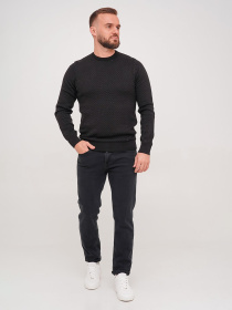 Джемпер Trend Collection модель TC7197BlackSVTRMN Фото