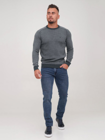 Джемпер Trend Collection модель TC6860GreySVTRMN Фото