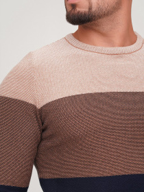 Джемпер Trend Collection модель TC6819MulticoloredSVTRMN Фото