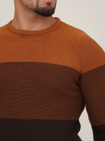 Джемпер Trend Collection модель TC6818BrownSVTRMN Фото