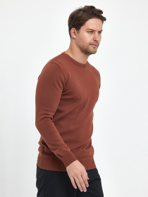 Джемпер Trend Collection модель TC6734BrownSVTRMN Джемпер Trend Collection модель TC6734BrownSVTRMN Фото