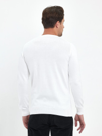 Джемпер Trend Collection модель TC6732WhiteSVTRMN Фото