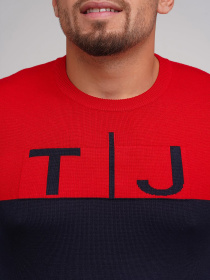 Джемпер Trend Collection модель TC5676RedBlueSVTRMN Джемпер Trend Collection модель TC5676RedBlueSVTRMN Фото