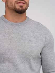 Джемпер Trend Collection модель TC5634LightGreySVTRMN Фото