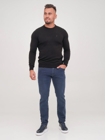 Джемпер Trend Collection модель TC5379BlackSVTRMN Фото