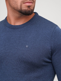 Джемпер Trend Collection модель TC5378BlueSVTRMN Фото