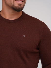 Джемпер Trend Collection модель TC5377DarkBrownSVTRMN Фото