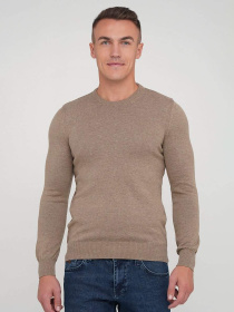 Джемпер Trend Collection модель TC5372BeigeSVTRMN Фото