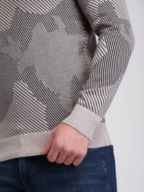 Джемпер Trend Collection модель TC3064BeigeSVTRMN Фото